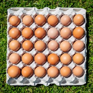 TRAY OF 30 PASTURE RAISED EGGS